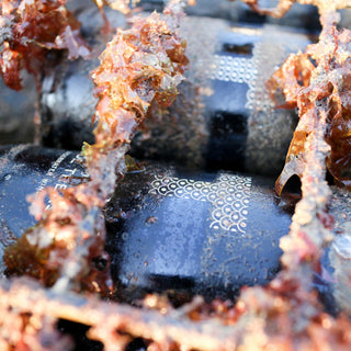 Sea Soul Nº7 Duet – White – Sea vs Land