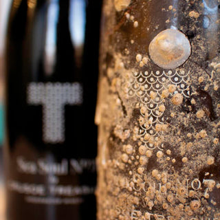 Sea Soul Nº7 Duet – White – Sea vs Land