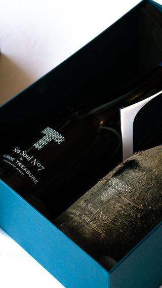 Sea Soul Nº7 Duet – White – Sea vs Land