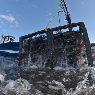 シーソウルNo.8 – レッド