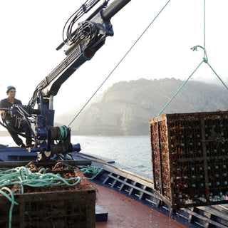 Sea Soul Nº7 – White – Strong currents