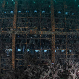 Sea Soul Nº7 Duet – White – Sea vs Land