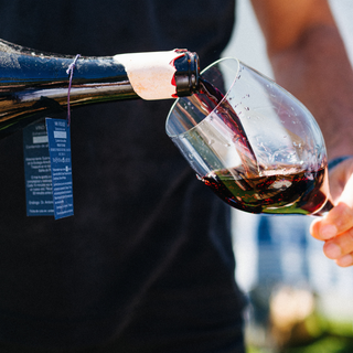 Boat trip and tasting