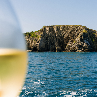 Boat trip and tasting