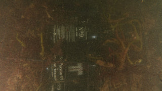 botellas de vino crusoe treasure bajo el mar