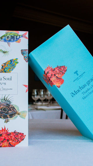 Estuches Crusoe Treasure