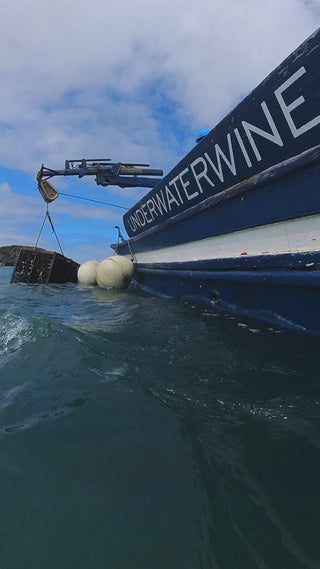 Sea Passion Nº9 Special Edition 3years - Tinto